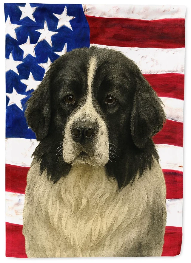 Main image of Landseer Newfoundland American Flag Garden Flag Mailbox Decorative Yard Banner Outside Patio Artwork for Flower Beds, Garden Siz
