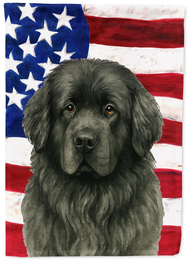 Main image of Gray Newfoundland American Flag Garden Flag Mailbox Decorative Yard Banner Outside Patio Artwork for Flower Beds, Garden Size, M