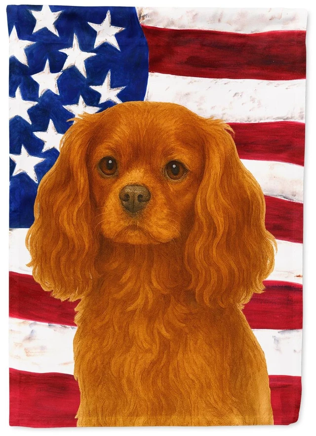 Main image of Ruby Cavalier Spaniel American Flag House Flag Large Porch Sleeve Pole Decorative Outside Yard Banner Artwork Wall Hanging, Poly