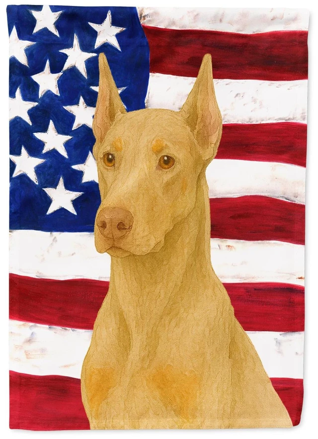 Main image of Fawn Doberman Pinscher American Flag House Flag Large Porch Sleeve Pole Decorative Outside Yard Banner Artwork Wall Hanging, Pol