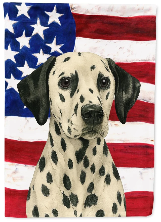 Main image of Dalmatian American Flag House Flag Large Porch Sleeve Pole Decorative Outside Yard Banner Artwork Wall Hanging, Polyester, House