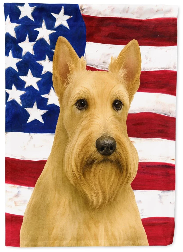 Main image of Wheaten Scottish Terrier American Flag Garden Flag Mailbox Decorative Yard Banner Outside Patio Artwork for Flower Beds, Garden