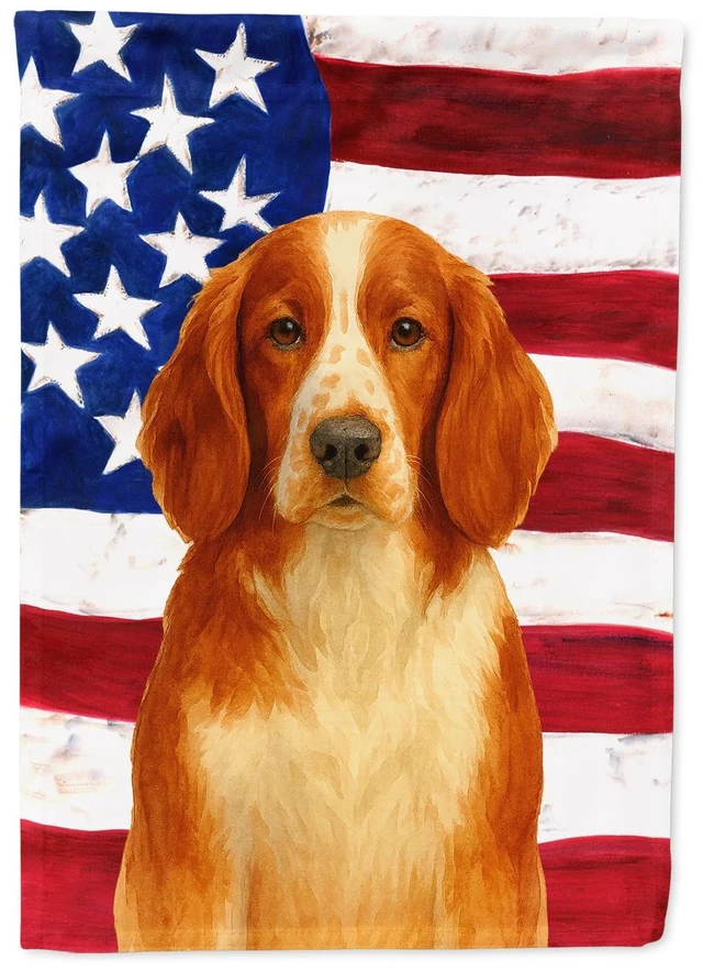 Main image of Welsh Springer Spaniel American Flag House Flag Large Porch Sleeve Pole Decorative Outside Yard Banner Artwork Wall Hanging, Pol