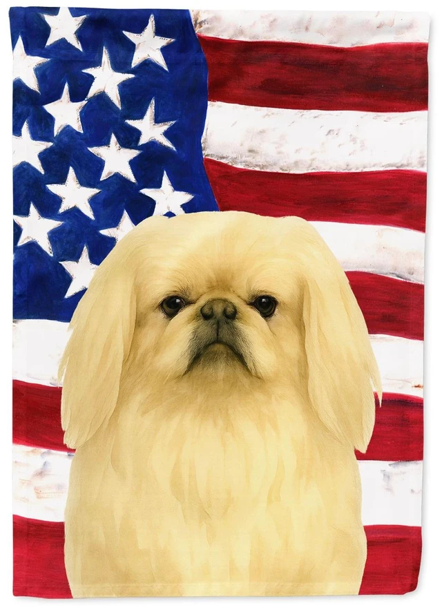 Main image of Cream Pekingese American Flag House Flag Large Porch Sleeve Pole Decorative Outside Yard Banner Artwork Wall Hanging, Polyester,
