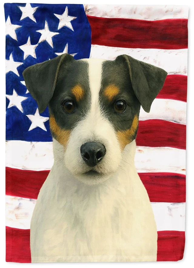 Main image of White and Black Jack Russell Terrier American Flag House Flag Large Porch Sleeve Pole Decorative Outside Yard Banner Artwork Wal