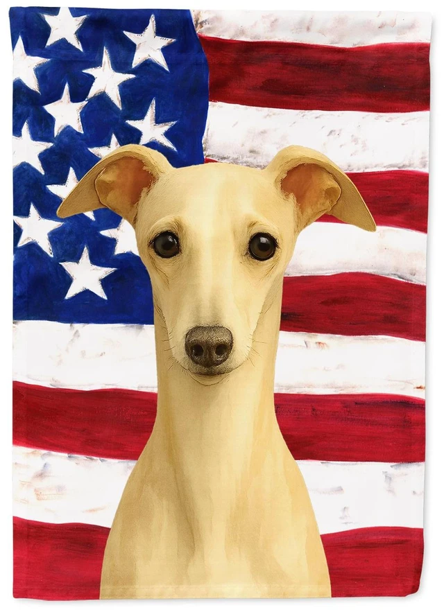 Main image of Cream Italian Greyhound American Flag House Flag Large Porch Sleeve Pole Decorative Outside Yard Banner Artwork Wall Hanging, Po