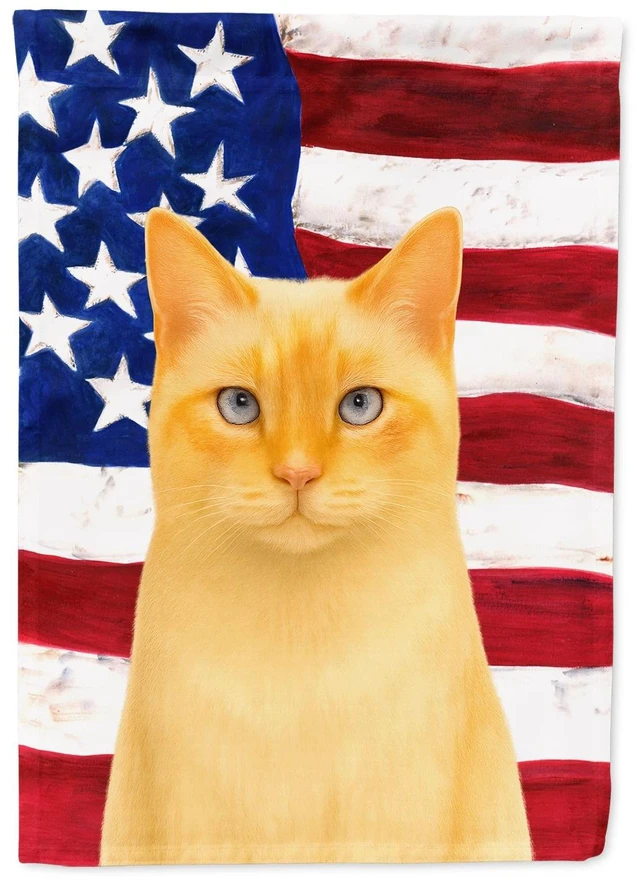 Main image of Flame Point Cat American Garden Flag Mailbox Decorative Yard Banner Outside Patio Artwork for Flower Beds, Garden Size, Multicol