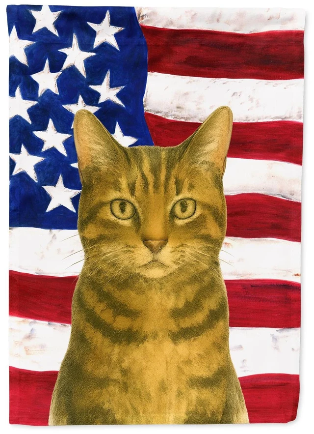 Main image of Brown Tabby Cat American Garden Flag Mailbox Decorative Yard Banner Outside Patio Artwork for Flower Beds, Garden Size, Multicol