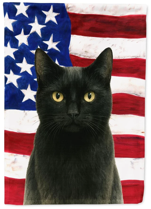 Main image of Black Cat American Garden Flag Mailbox Decorative Yard Banner Outside Patio Artwork for Flower Beds, Garden Size, Multicolor