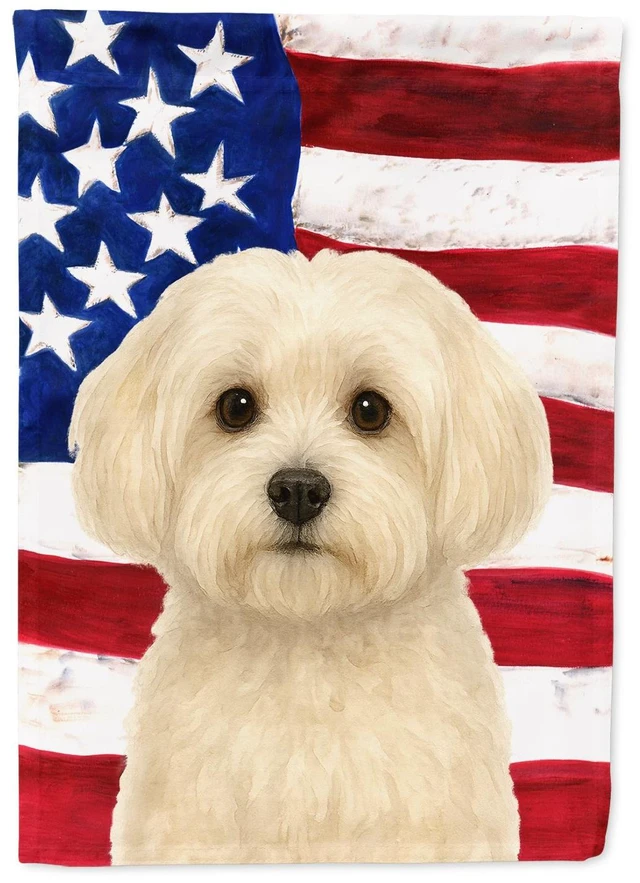 Main image of White Havanese American Flag House Flag Large Porch Sleeve Pole Decorative Outside Yard Banner Artwork Wall Hanging, Polyester,