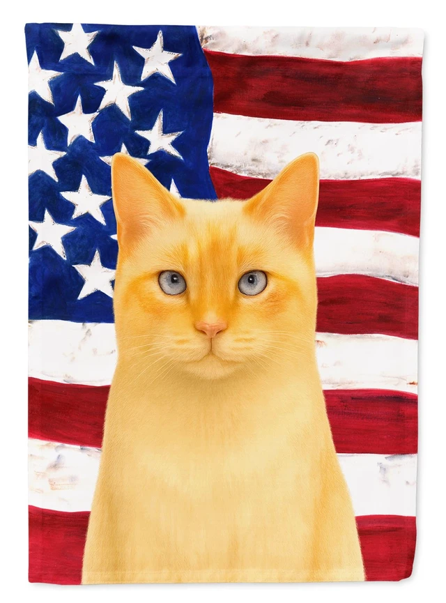 Main image of Flame Point Cat American House Flag Large Porch Sleeve Pole Decorative Outside Yard Banner Artwork Wall Hanging, Polyester, Hous