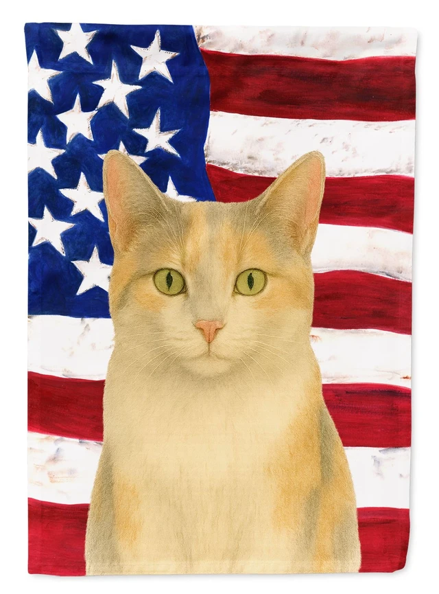 Main image of Dilute Calico Cat American House Flag Large Porch Sleeve Pole Decorative Outside Yard Banner Artwork Wall Hanging, Polyester, Ho