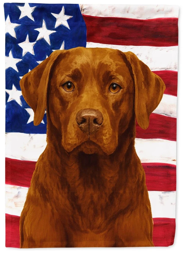Main image of Chocolate Labrador Retriever American Flag House Flag Large Porch Sleeve Pole Decorative Outside Yard Banner Artwork Wall Hangin