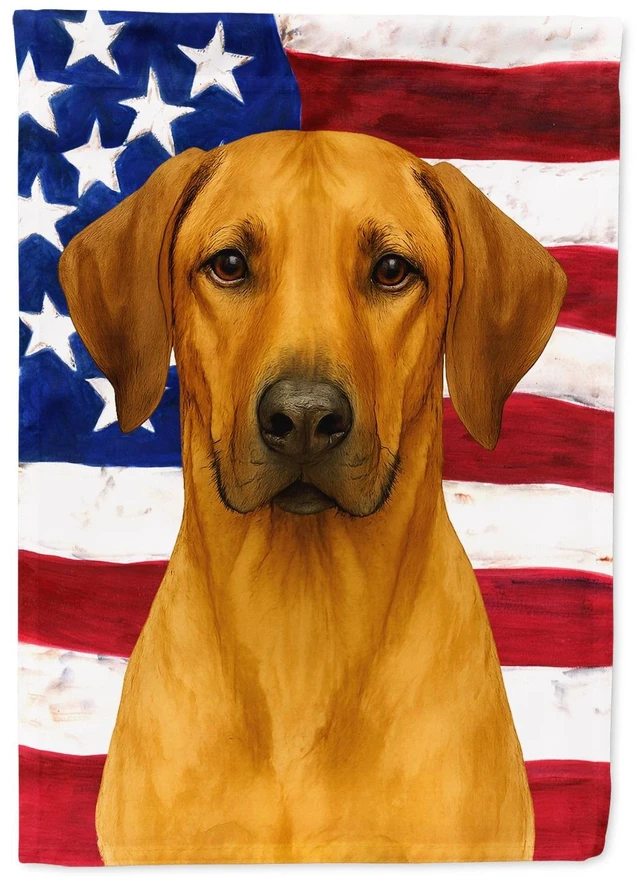 Main image of Rhodesian Ridgeback American Flag House Flag Large Porch Sleeve Pole Decorative Outside Yard Banner Artwork Wall Hanging, Polyes