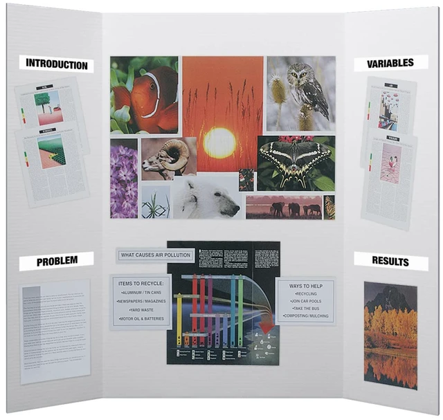 Main image of Flipside Products 36 x 48 Project Boards for Presentations, Science Fair, School Projects, Event Displays and Trifold Pict