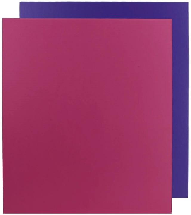 Main image of 22 X 28 Pink/Purple Two Sided Project Sheet Pack Of 25