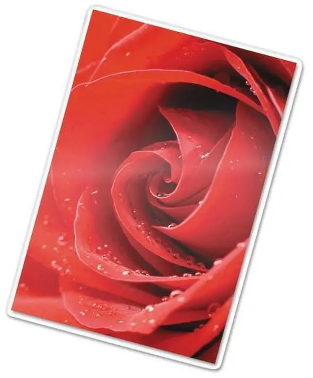Alt view image 3 of 19 - Fellowes Laminating Pouches 5mil 4 1/2 x 6 1/4 25/Pack 52010