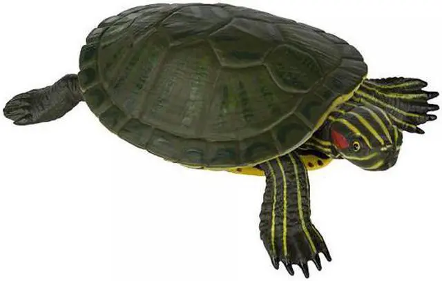 Alt view image 3 of 11 - Safari 269529 Incredible Creatures Red-Eared Slider Turtle