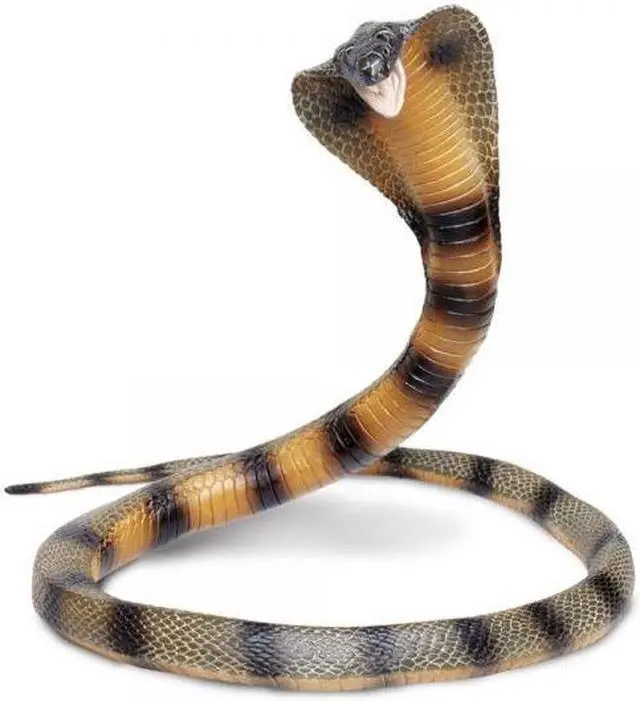 Alt view image 5 of 13 - Safari 260329 Posable Coiling Cobra Animal Figure