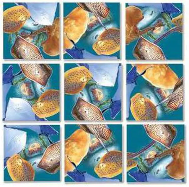 Main image of B Dazzle Stingrays Scramble Squares 9 Piece Puzzle