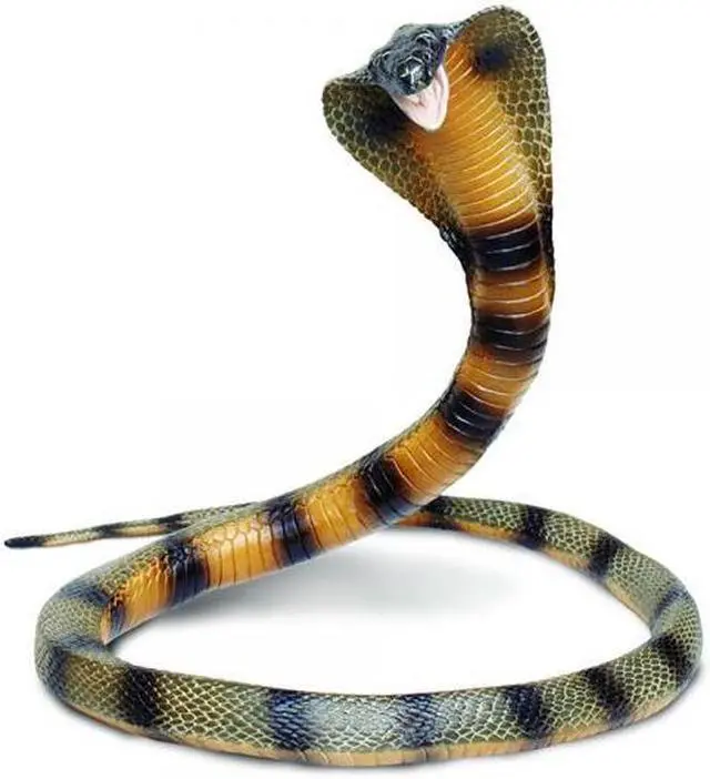 Alt view image 7 of 13 - Safari 260329 Posable Coiling Cobra Animal Figure