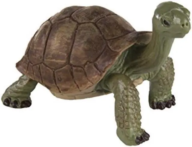 Alt view image 3 of 5 - Wild Safari Wildlife Giant Tortoise Safari Ltd Animal Educational Toy Figure