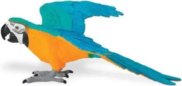 Alt view image 3 of 6 - Safari Blue & Gold Macaw