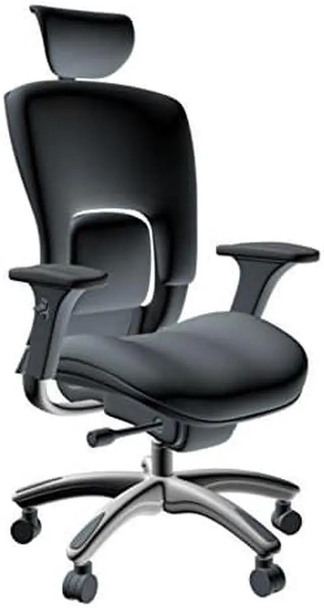Main image of GM Seating Ergolux Genuine Leather Executive Hi Swivel Chair Chrome Base with Headrest, Black