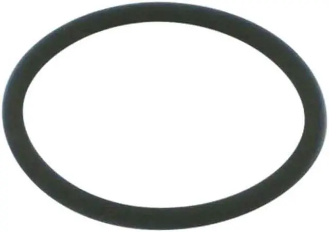 Main image of MILLER ELECTRIC 212735 O Ring,80 A,For 60T,80CX,80CXM,100T,PK5