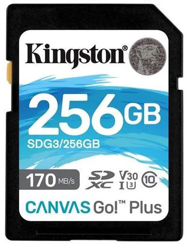 Alt view image 10 of 14 - Kingston Canvas Go! Plus 256 Gb Class 10/Uhs-I (U3) Sdxc