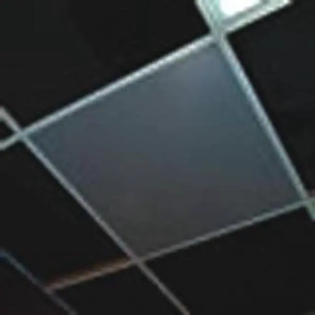 Main image of Signature 2x2 Lay-In Ceiling Speaker