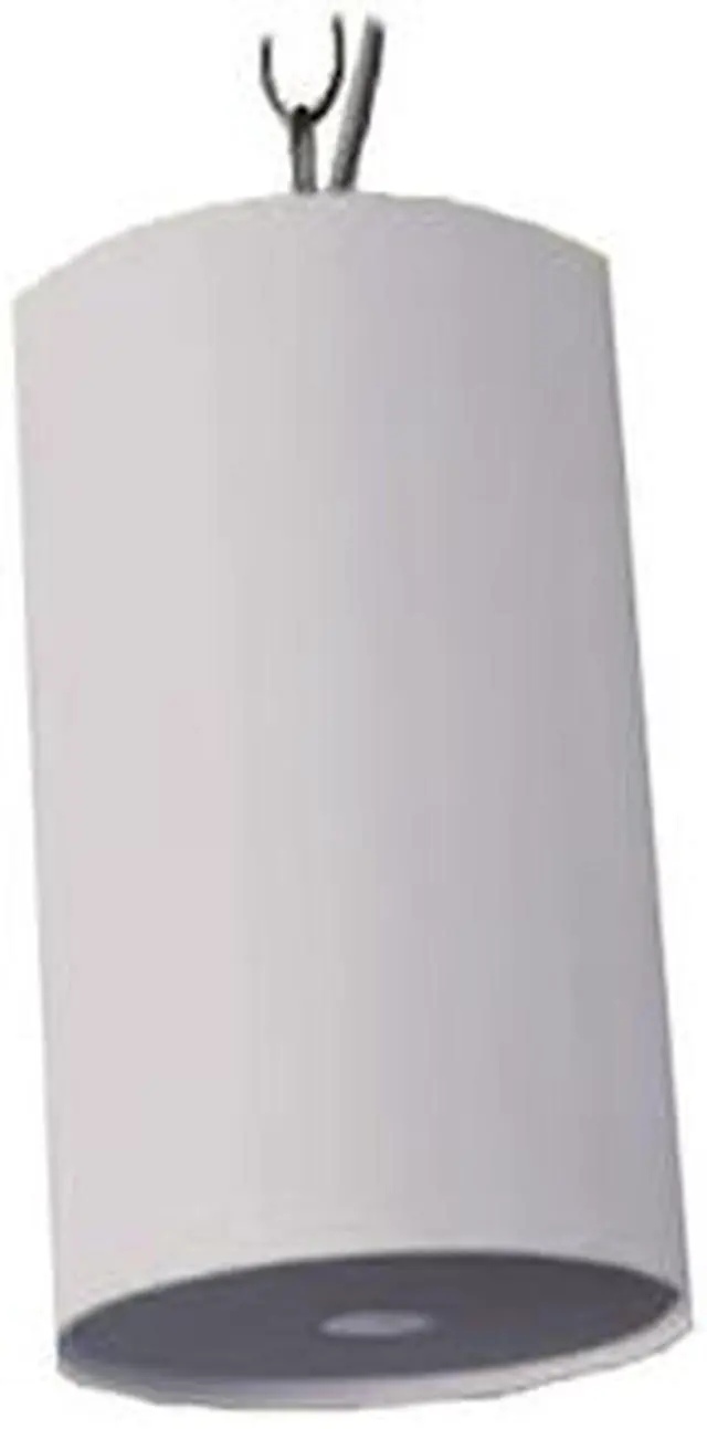 Main image of Pendant Speaker - White