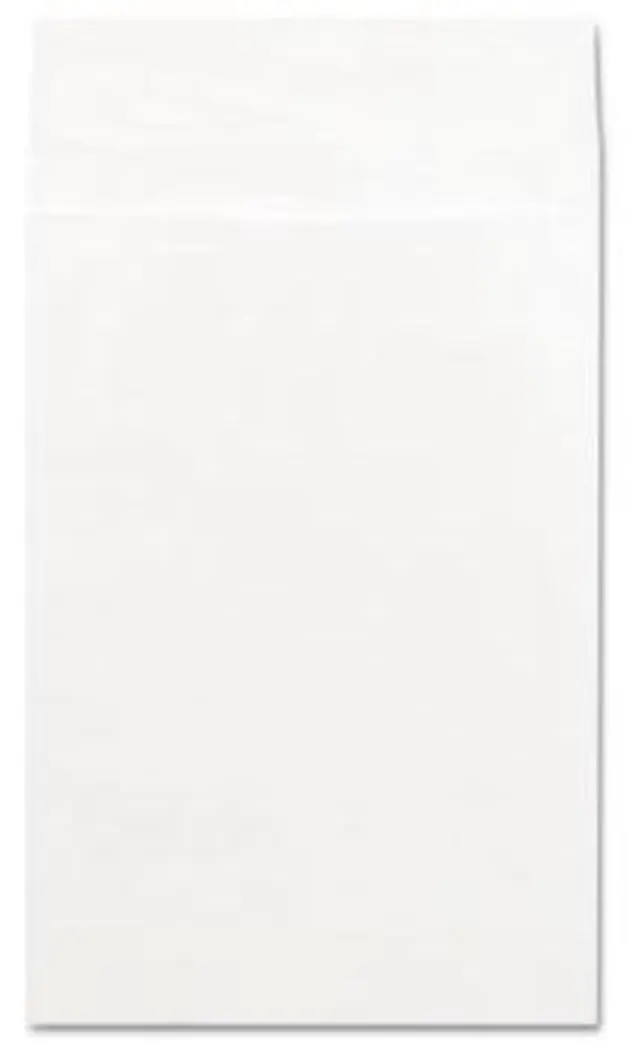 Main image of Tyvek Expansion Envelope, 12 x 16, White, 100/Box - UNV19001
