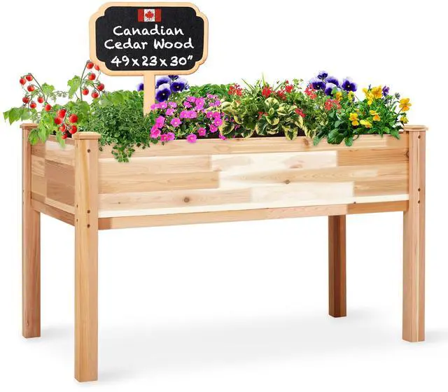 Main image of Jumbl Raised Canadian Cedar Garden Bed | Elevated Wood Planter for Growing Fresh Herbs, Vegetables, Flowers, Succulents | 49x23x30