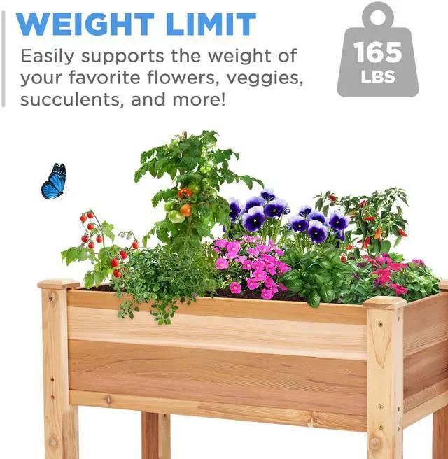 Alt view image 5 of 7 - Jumbl Raised Canadian Cedar Garden Bed | Elevated Wood Planter for Growing Fresh Herbs, Vegetables, Flowers, Succulents | 34x18x30