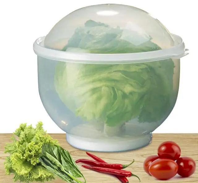 Alt view image 3 of 6 - WalterDrake Lettuce KeeperTM - Lettuce Crisper Salad Keeper Container Keeps your Salads and Vegetables Crisp and Fresh- 7" X 8" (brown) (1) (1)