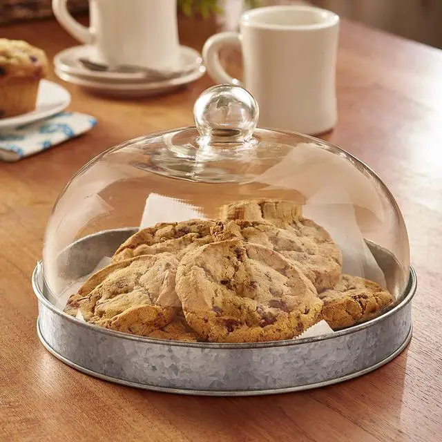 Main image of SkyMall Galvanized Metal and Glass Dome Serving Plate - Silver