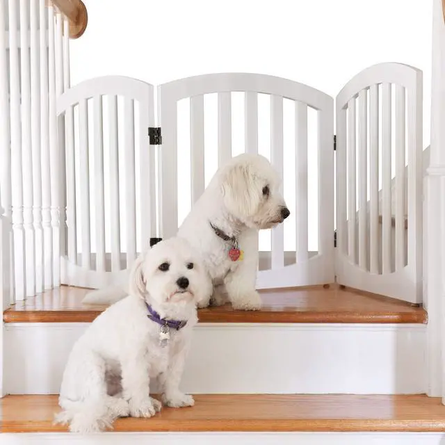 Main image of Arf pets Free Standing Wood Dog Gate, Step Over Pet Fence, 3 Panel 360° configurable,24" Tall, Foldable, Adjustable - White