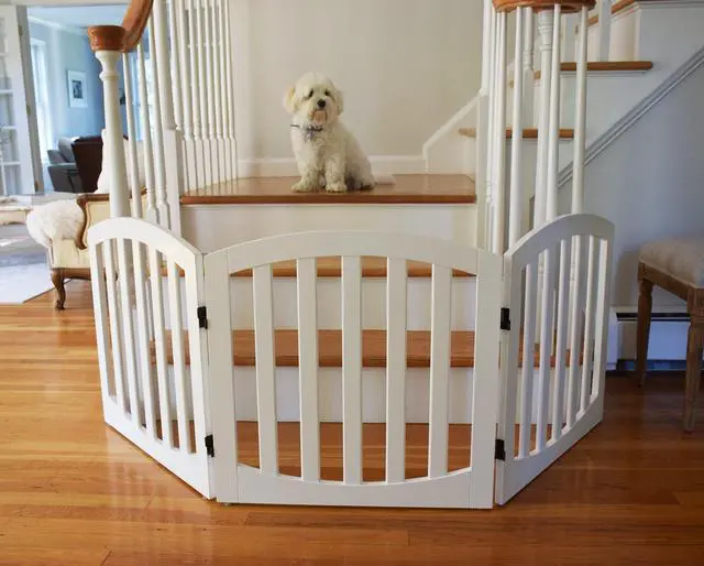 Alt view image 4 of 5 - Arf pets Free Standing Wood Dog Gate, Step Over Pet Fence, 3 Panel 360° configurable,24" Tall, Foldable, Adjustable - White