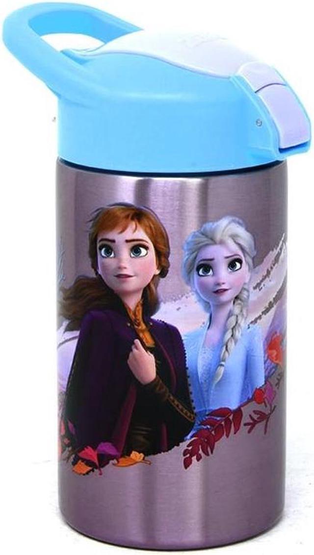 Zak 15.5oz Stainless Steel Water Bottle - Frozen