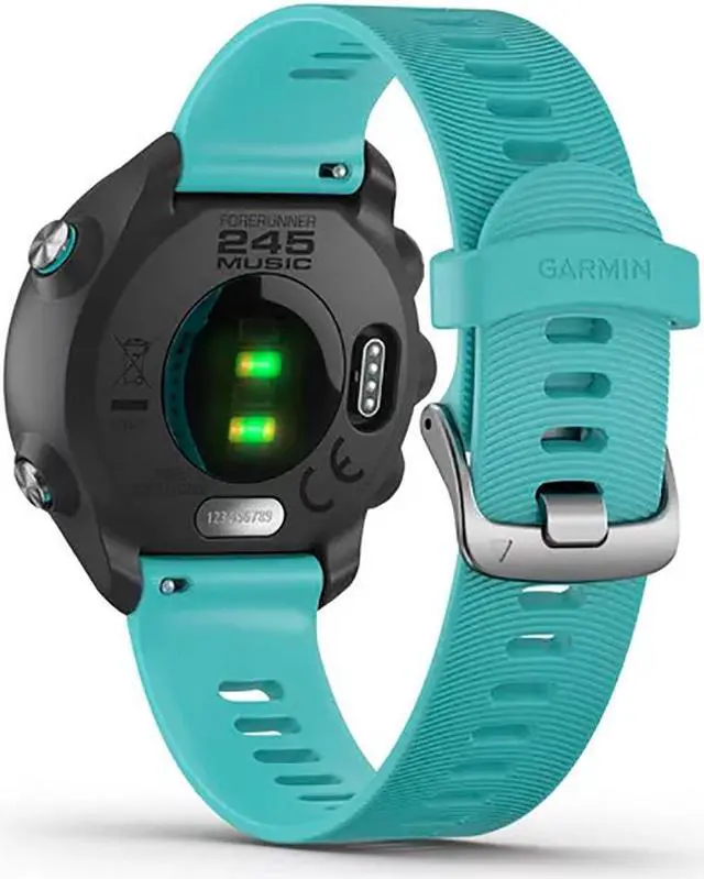 Alt view image 5 of 5 - Garmin Forerunner® 245 Music