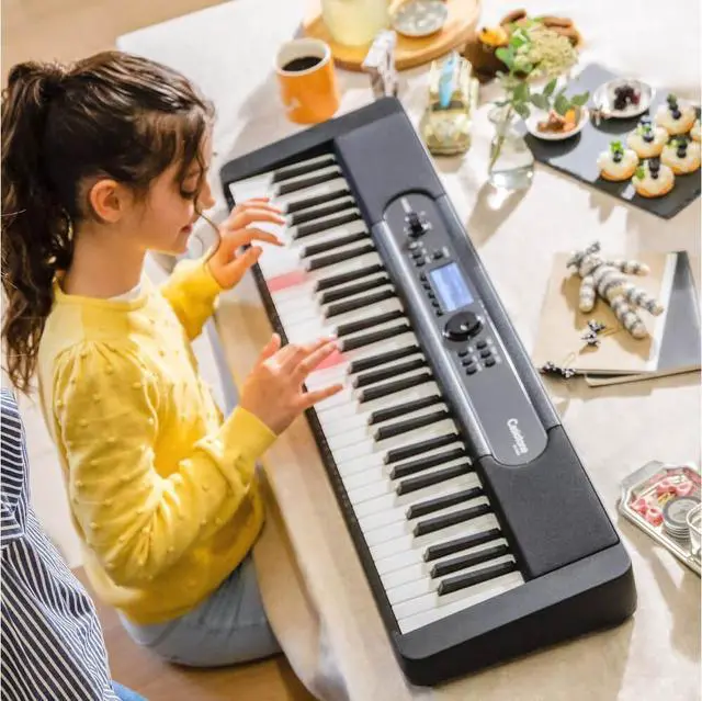 Alt view image 3 of 3 - Casio LKS450  61-key Arranger Keyboard