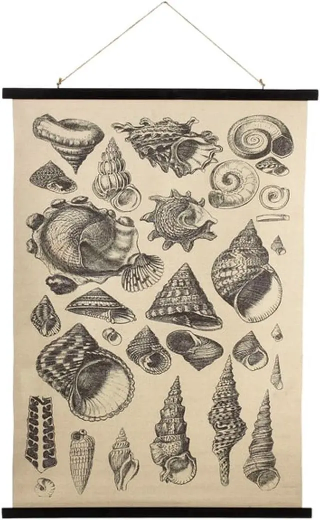 Main image of Midwest CBK Seashell Varieties Printed Canvas Wall Decor 41.25 Inches