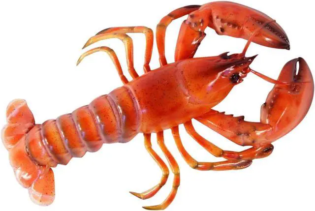 Main image of Maine Ocean Sea Steamed Red Lobster Fishing 16 Inch Wall Decor