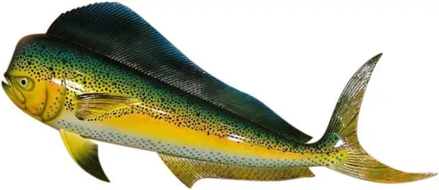 Main image of Replica Mahi 28 Inch Dolphin Salt Water Fishing Wall Decor
