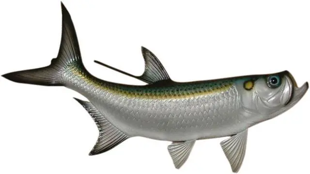 Main image of Replica Tarpon Saltwater Game Ocean Fish Wall Decor 28 inch
