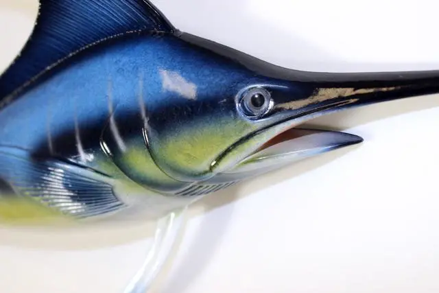 Alt view image 2 of 2 - Sport Fishing Big Catch Blue Marlin 18 Inch Resin Wall Decor Plaque