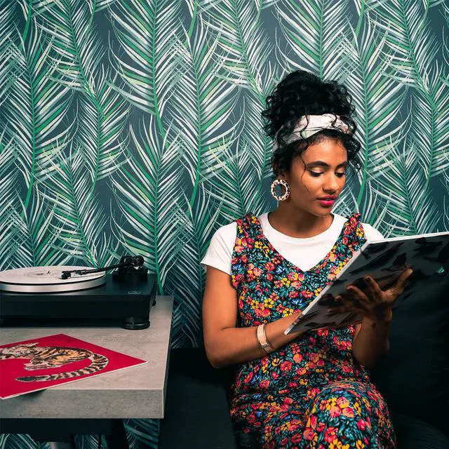 Alt view image 11 of 20 - Audio-Technica AT-LP5X Fully Manual Direct Drive 3-Speed Stereo Turntable