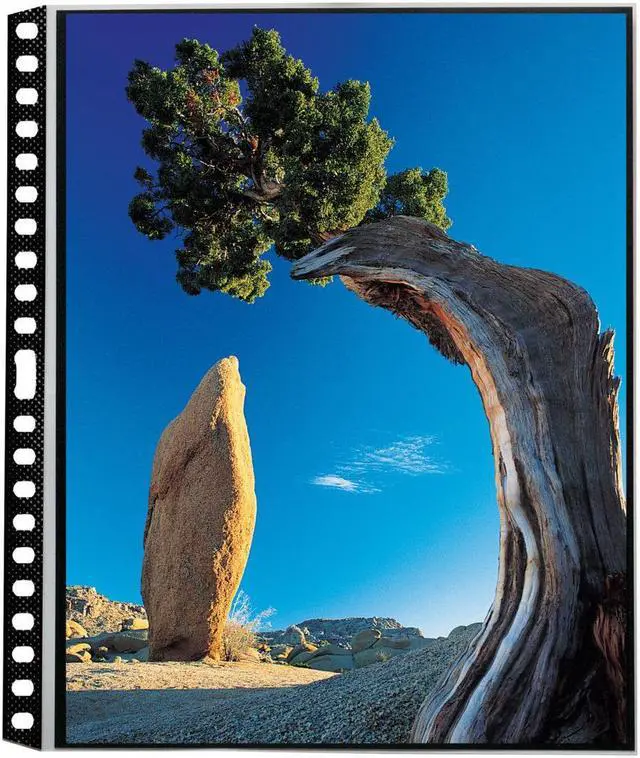 Alt view image 6 of 16 - Itoya PR1114 11 in. x 14 in. Art Profolio Polyglass Refill Pages