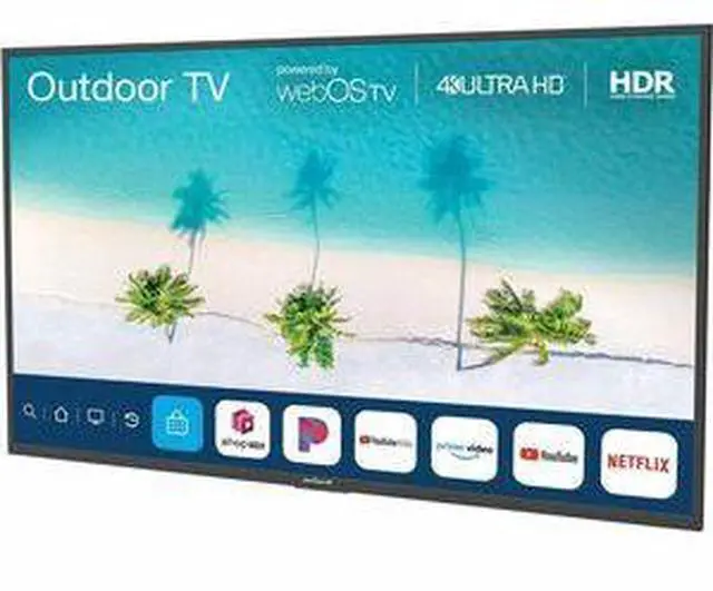 Main image of Peerless 65" Neptune Partial Sun Outdoor Smart TV Model NT653